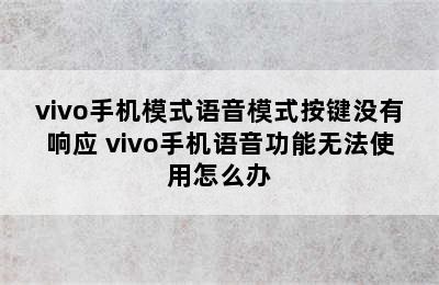 vivo手机模式语音模式按键没有响应 vivo手机语音功能无法使用怎么办